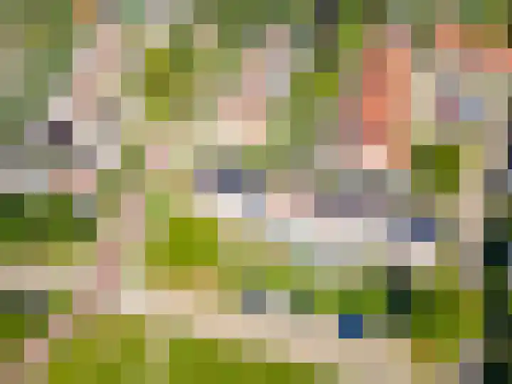 Molenaarserf 70 Houten thumbnail 62