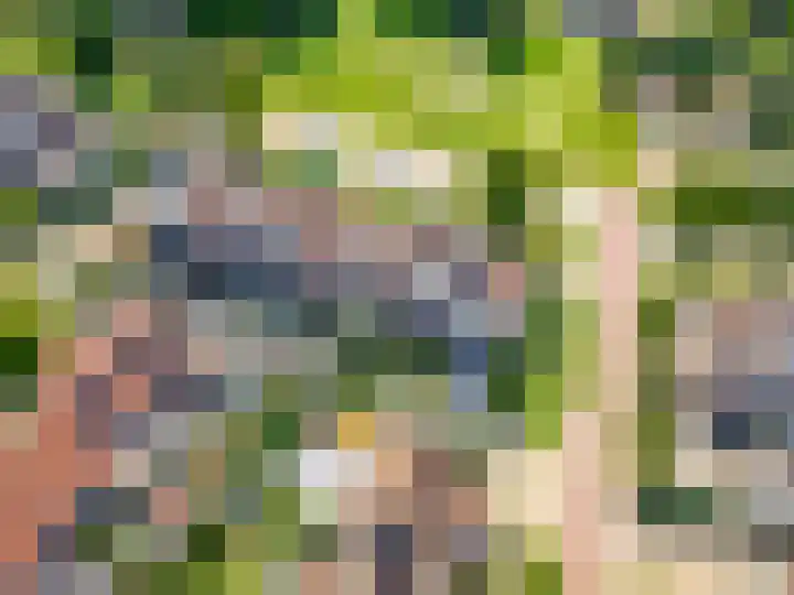 Molenaarserf 70 Houten thumbnail 63