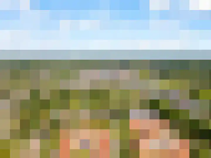 Molenaarserf 70 Houten thumbnail 65
