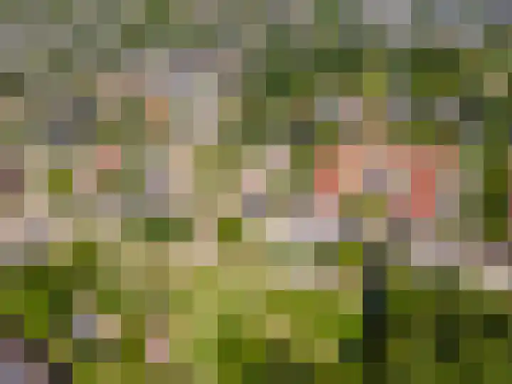 Molenaarserf 70 Houten thumbnail 66