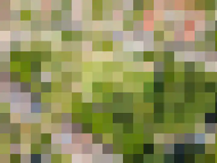 Molenaarserf 70 Houten thumbnail 67