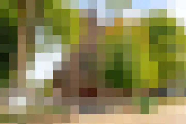 Molenaarserf 70 Houten thumbnail 68