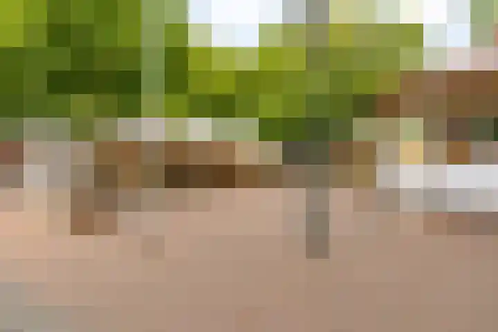 Molenaarserf 70 Houten thumbnail 69