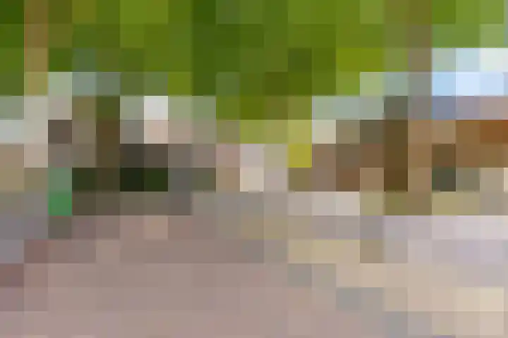 Molenaarserf 70 Houten thumbnail 72