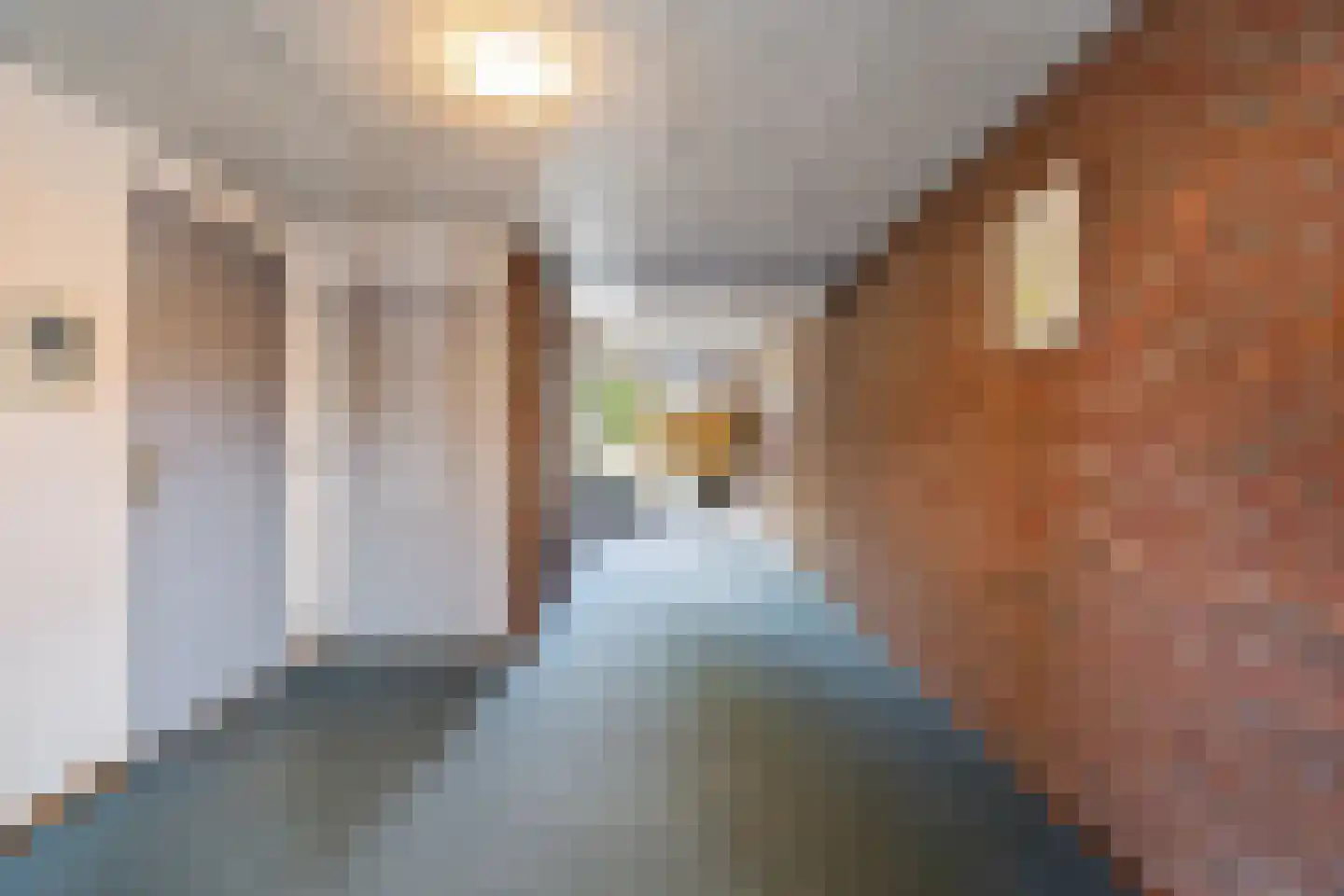 Molenaarserf 79 Houten thumbnail 33