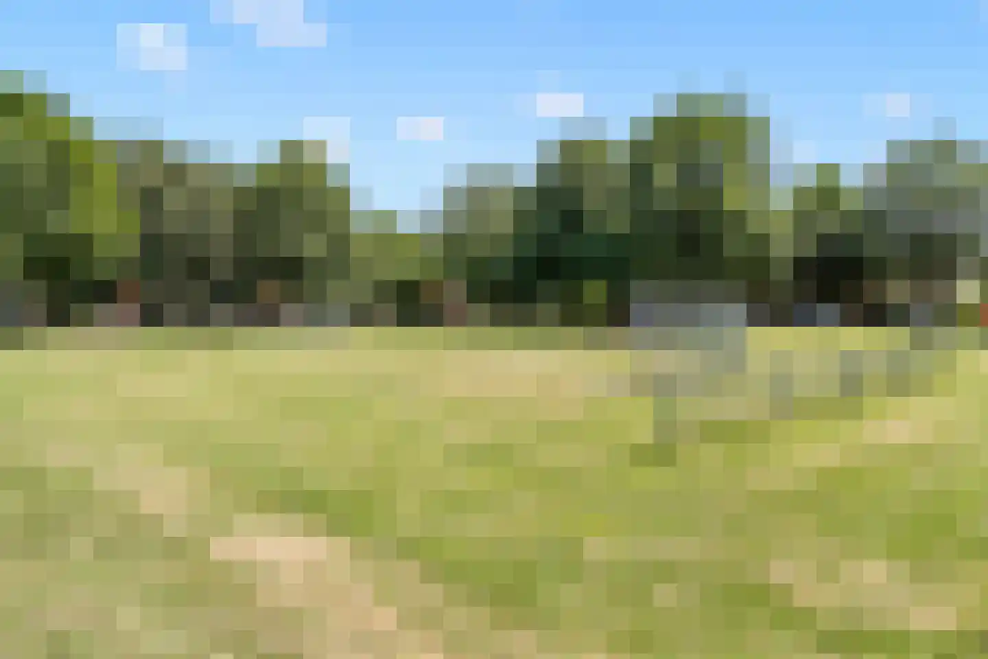 Molenaarserf 79 Houten thumbnail 39