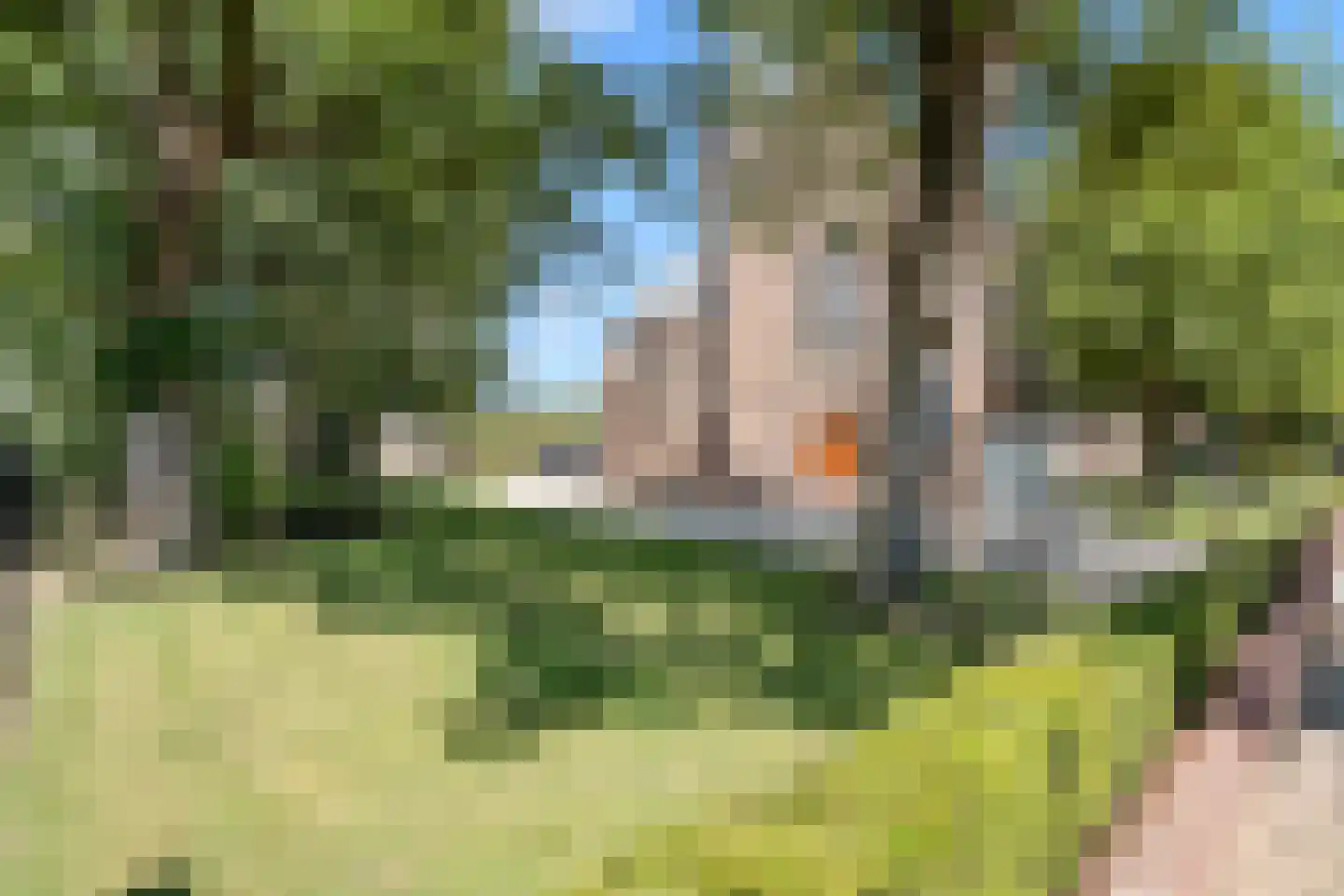 Molenaarserf 79 Houten thumbnail 45