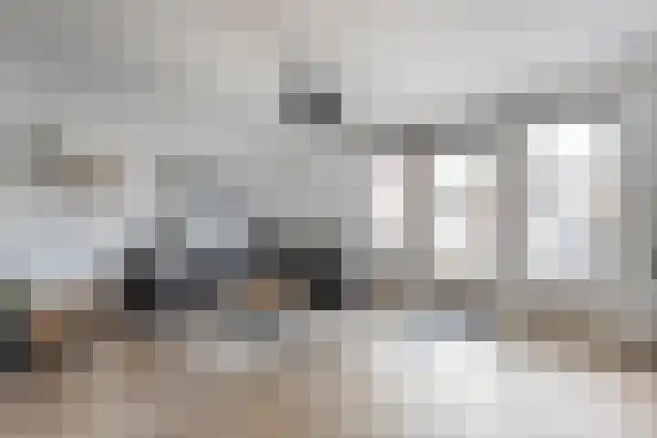 Molenaarses 22 Dalfsen thumbnail 10