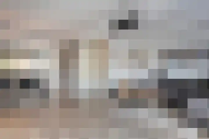 Molenaarses 22 Dalfsen thumbnail 11