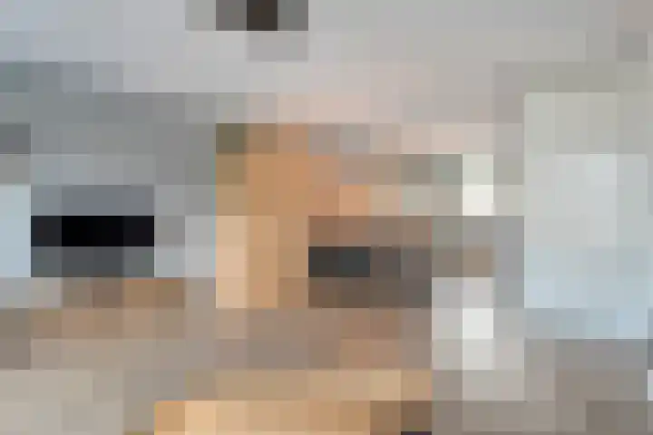 Molenaarses 22 Dalfsen thumbnail 12