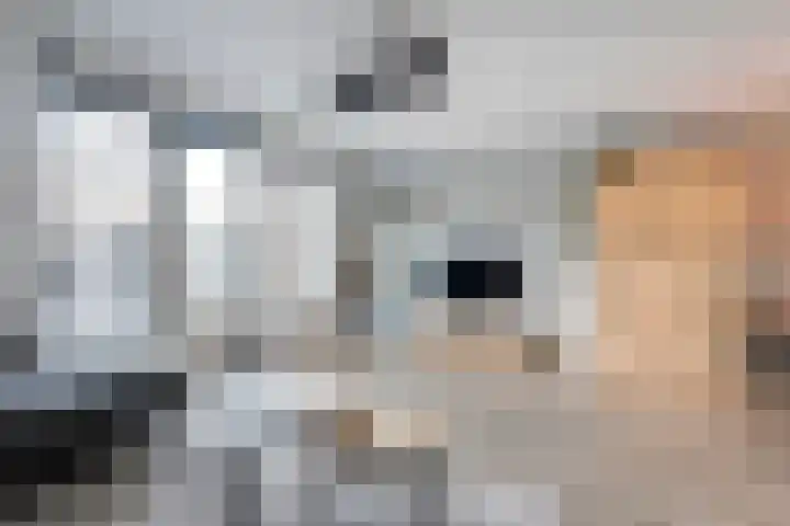 Molenaarses 22 Dalfsen thumbnail 13