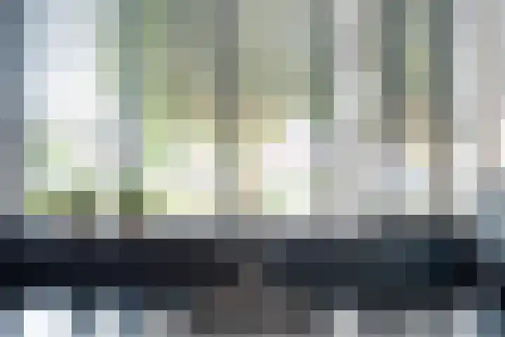 Molenaarses 22 Dalfsen thumbnail 15