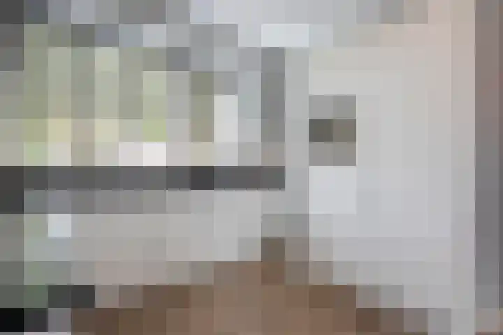 Molenaarses 22 Dalfsen thumbnail 16