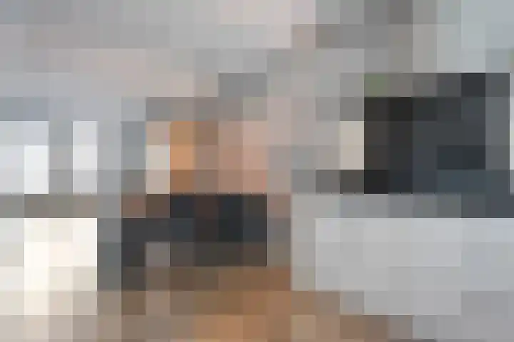 Molenaarses 22 Dalfsen thumbnail 17