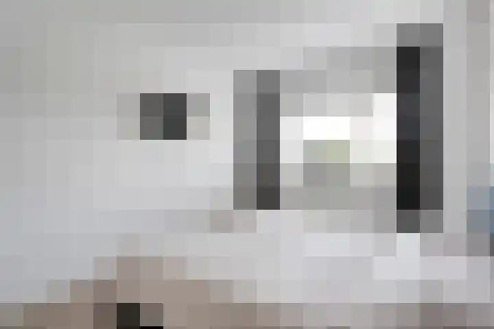 Molenaarses 22 Dalfsen thumbnail 20