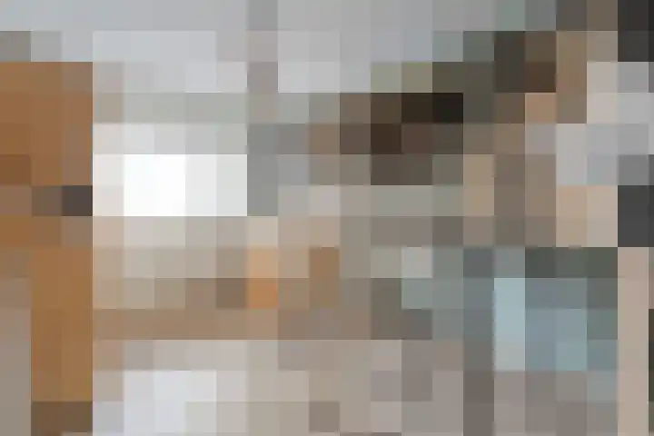 Molenaarses 22 Dalfsen thumbnail 24