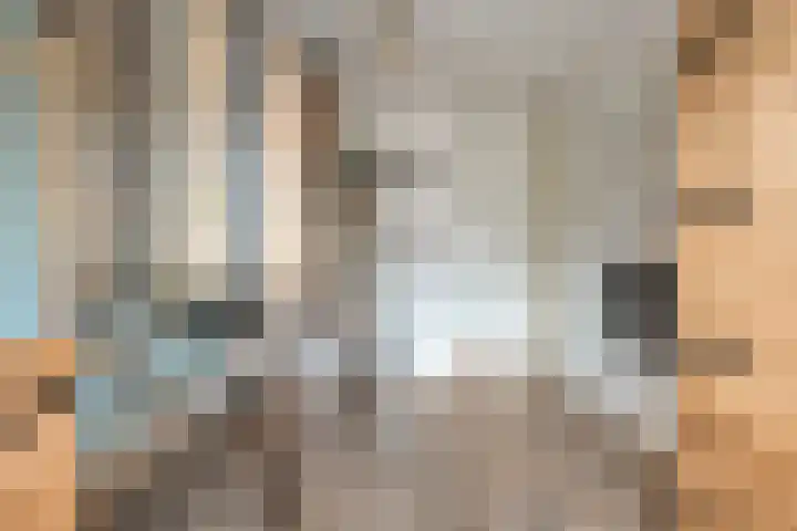 Molenaarses 22 Dalfsen thumbnail 25