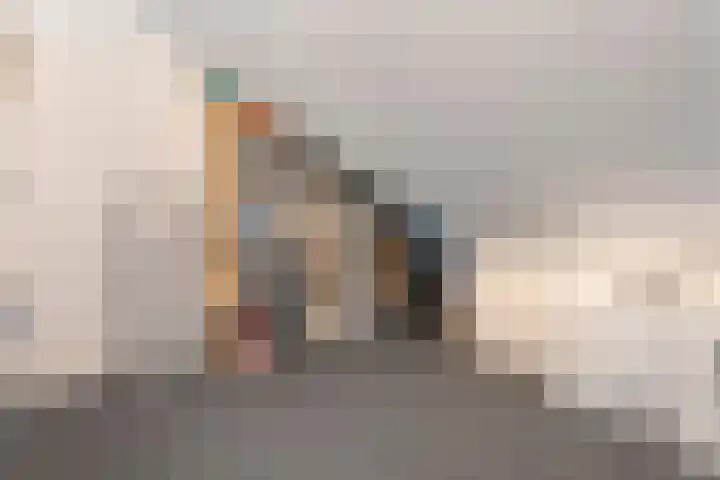 Molenaarses 22 Dalfsen thumbnail 29