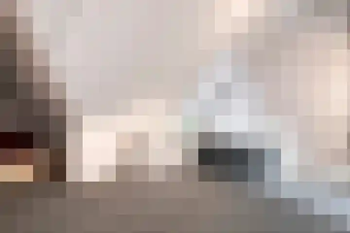 Molenaarses 22 Dalfsen thumbnail 30