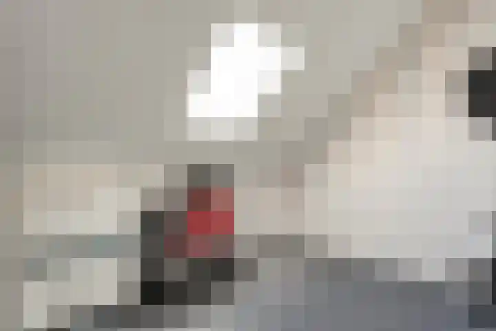 Molenaarses 22 Dalfsen thumbnail 31