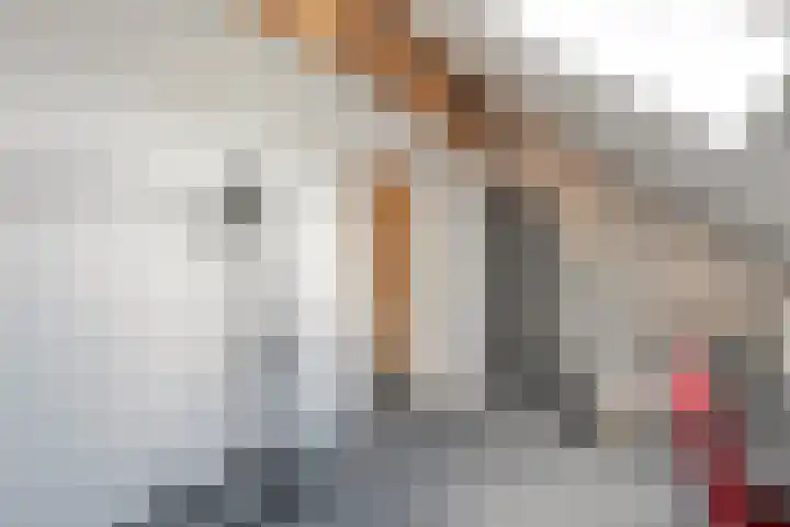 Molenaarses 22 Dalfsen thumbnail 32