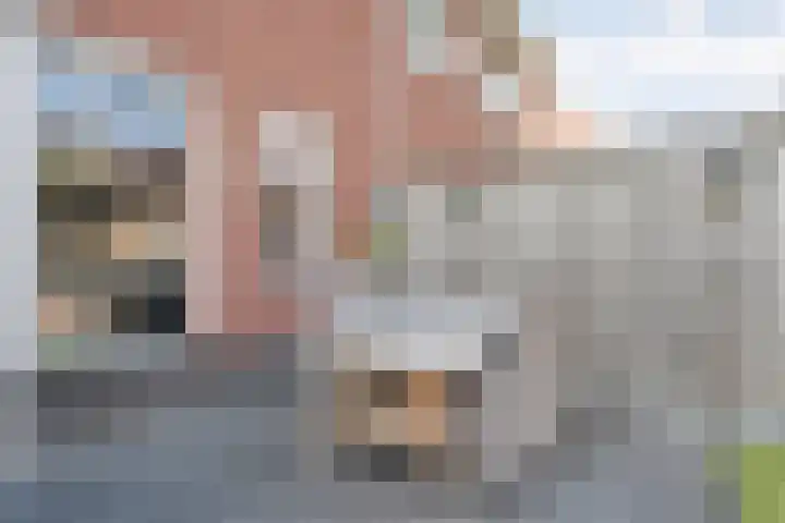 Molenaarses 22 Dalfsen thumbnail 33