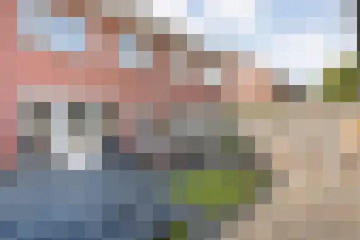 Molenaarses 22 Dalfsen thumbnail 34