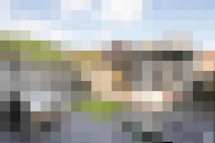 Molenaarses 22 Dalfsen thumbnail 36