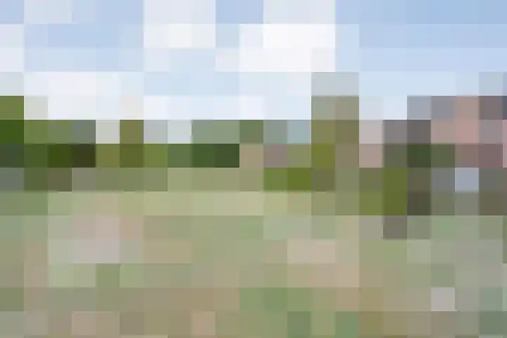Molenaarses 22 Dalfsen thumbnail 39