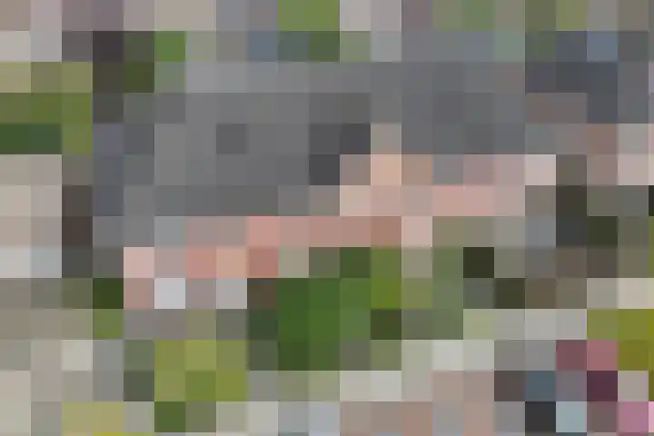 Molenaarses 22 Dalfsen thumbnail 4