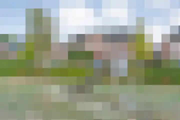 Molenaarses 22 Dalfsen thumbnail 40