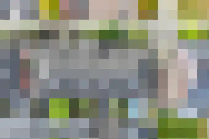Molenaarses 22 Dalfsen thumbnail 41