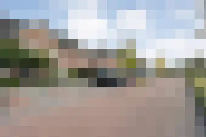 Molenaarses 22 Dalfsen thumbnail 42