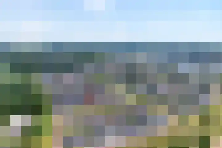 Molenaarses 22 Dalfsen thumbnail 43