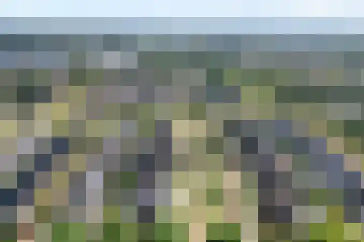 Molenaarses 22 Dalfsen thumbnail 44