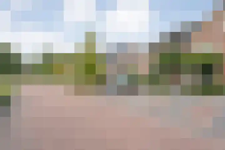 Molenaarses 22 Dalfsen thumbnail 5