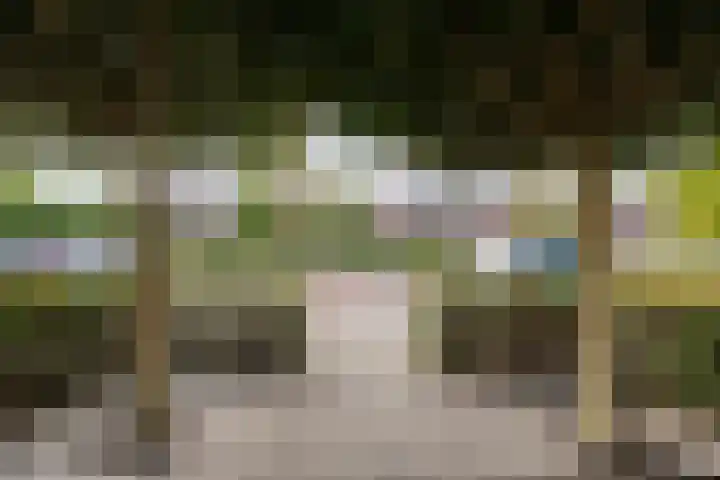 Molenaarses 22 Dalfsen thumbnail 6