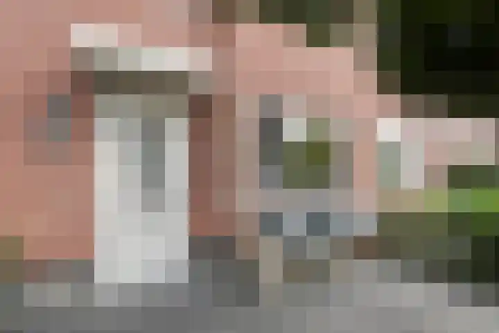 Molenaarses 22 Dalfsen thumbnail 7