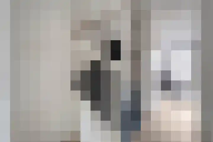 Molenaarses 22 Dalfsen thumbnail 9