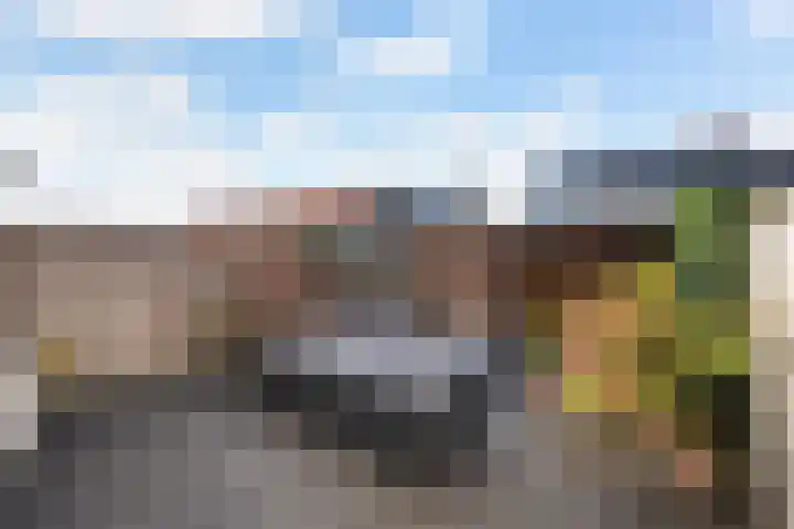 Molenaarses 47 Dalfsen thumbnail 11
