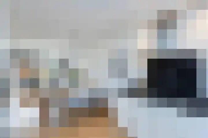 Molenaarses 47 Dalfsen thumbnail 12