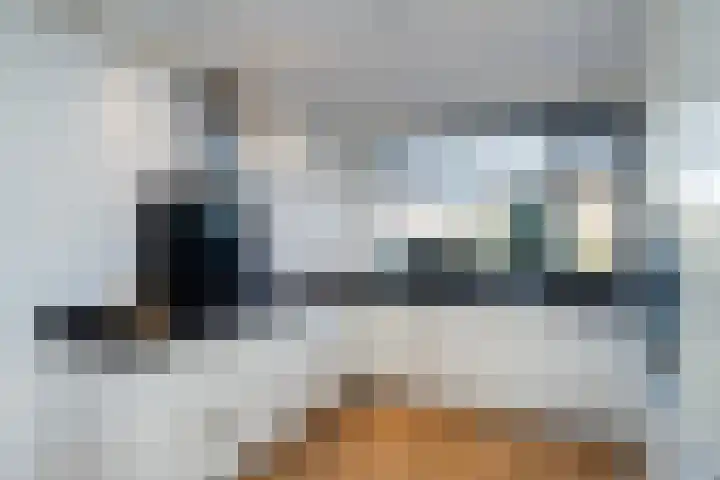 Molenaarses 47 Dalfsen thumbnail 13