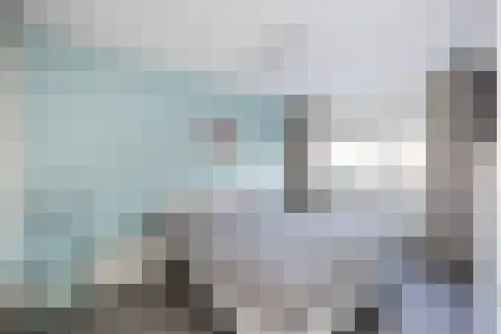 Molenaarses 47 Dalfsen thumbnail 18