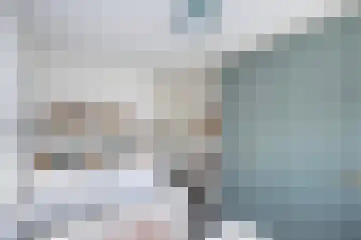 Molenaarses 47 Dalfsen thumbnail 21