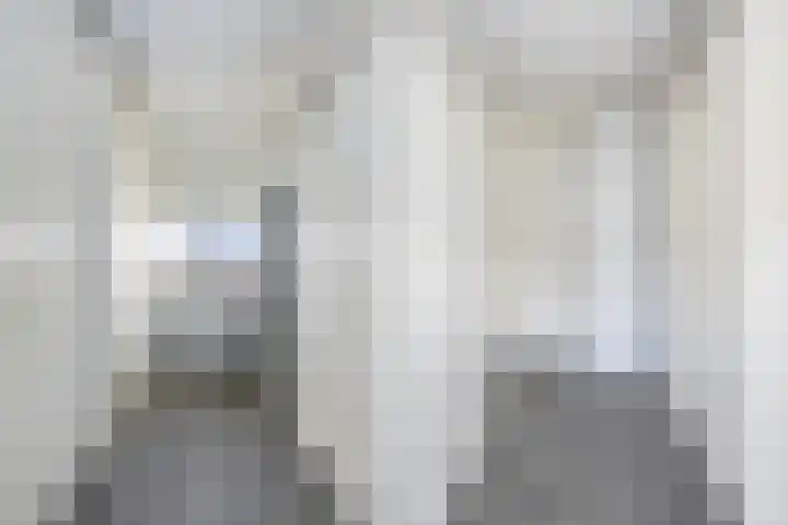 Molenaarses 47 Dalfsen thumbnail 22