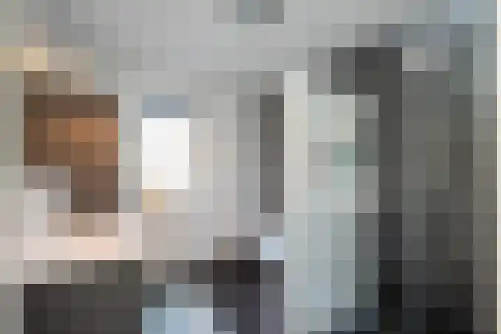 Molenaarses 47 Dalfsen thumbnail 23