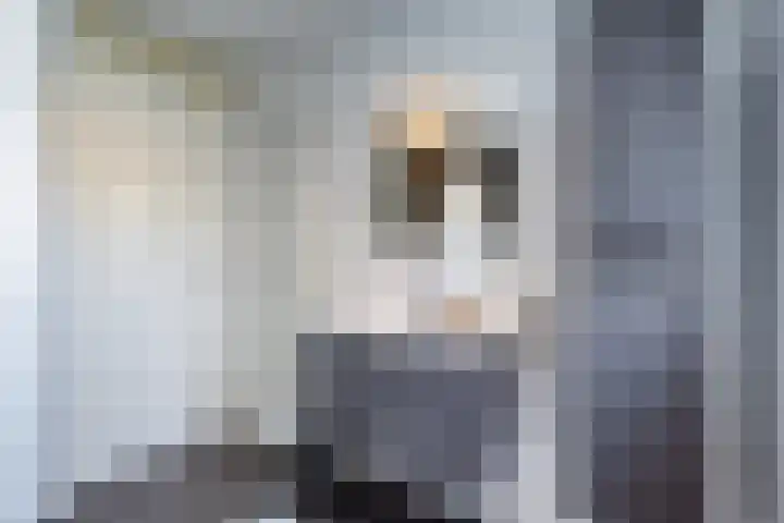 Molenaarses 47 Dalfsen thumbnail 24
