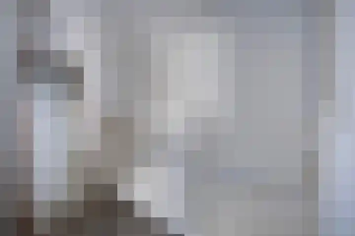 Molenaarses 47 Dalfsen thumbnail 25