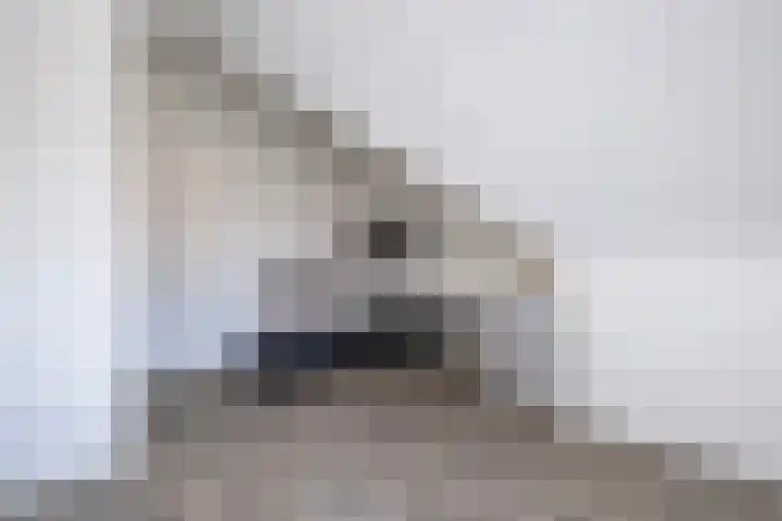 Molenaarses 47 Dalfsen thumbnail 29