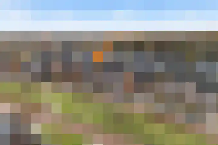 Molenaarses 47 Dalfsen thumbnail 30